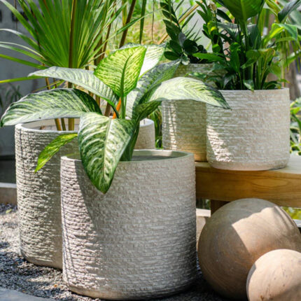 Designer Concrete Pots