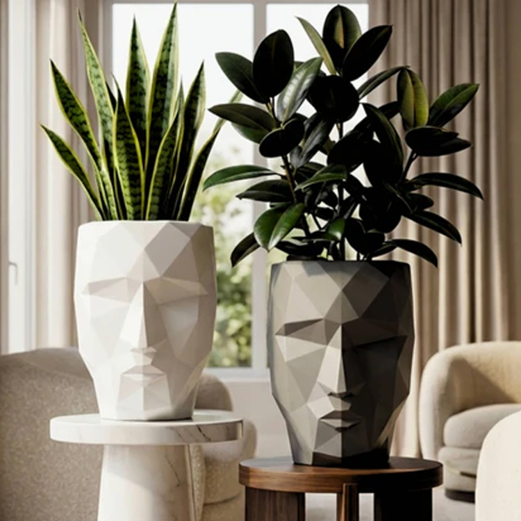 Face Design Planters